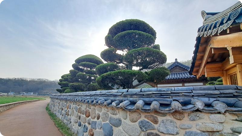 부자의 기운 속으로, 지수승산부자마을