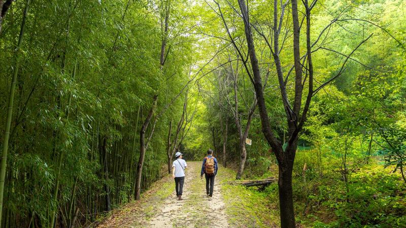 까꼬실마을의 기억을 걷다